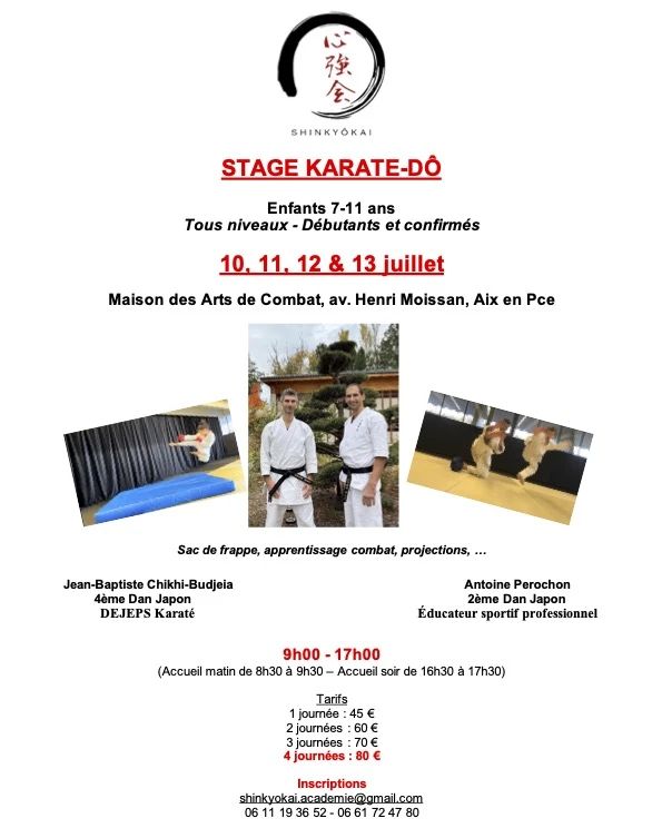 affiche enfants stage karate do