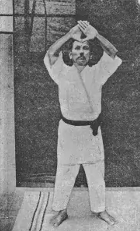 logo shin kyo white